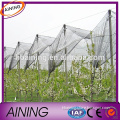 Hdpe anti hail net/anti hail net for greenhouse/anti hail protection netting